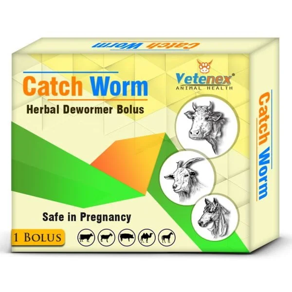 VETENEX Catch Worm - Veterinary Herbal Dewormer Bolus for Cattle, Buffalo, Cow, Goat, Sheep, Pig, Horse and Camel (1 Tablet x 2) Combo - Pack of 2