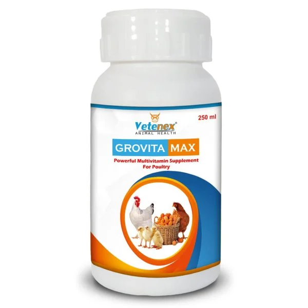 VETENEX Grovita Max - Multivitamin Supplement, Growth Promoter for Poultry, Birds & Chicken - 250 ML