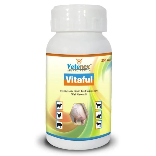 VETENEX Vitaful - Vitamin H, Multivitamin Liquid Supplement for Cattle, Poultry, Sheep & Livestock Animals - 250 ML