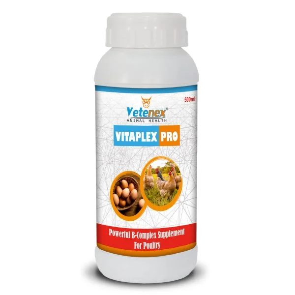 VETENEX Vitaplex Pro - Vitamin B Complex Supplement, Growth Promoter for Poultry, Birds & Chicken - 500 ML