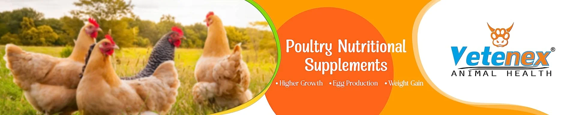 Poultry Suppliment