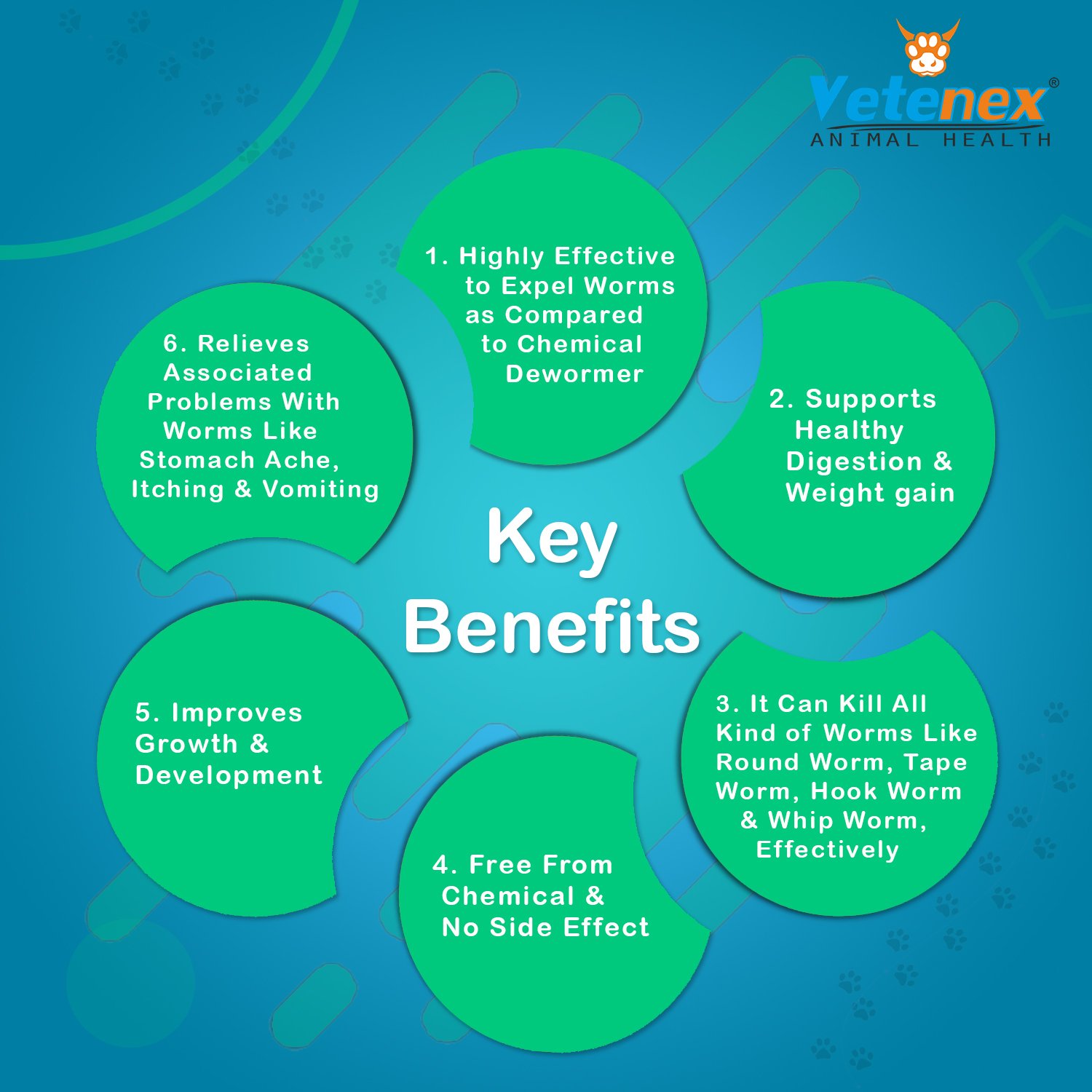 VETENEX Catch Worm Pet - Herbal Dewormer For Puppy and Cats - 30 ML - Image 4