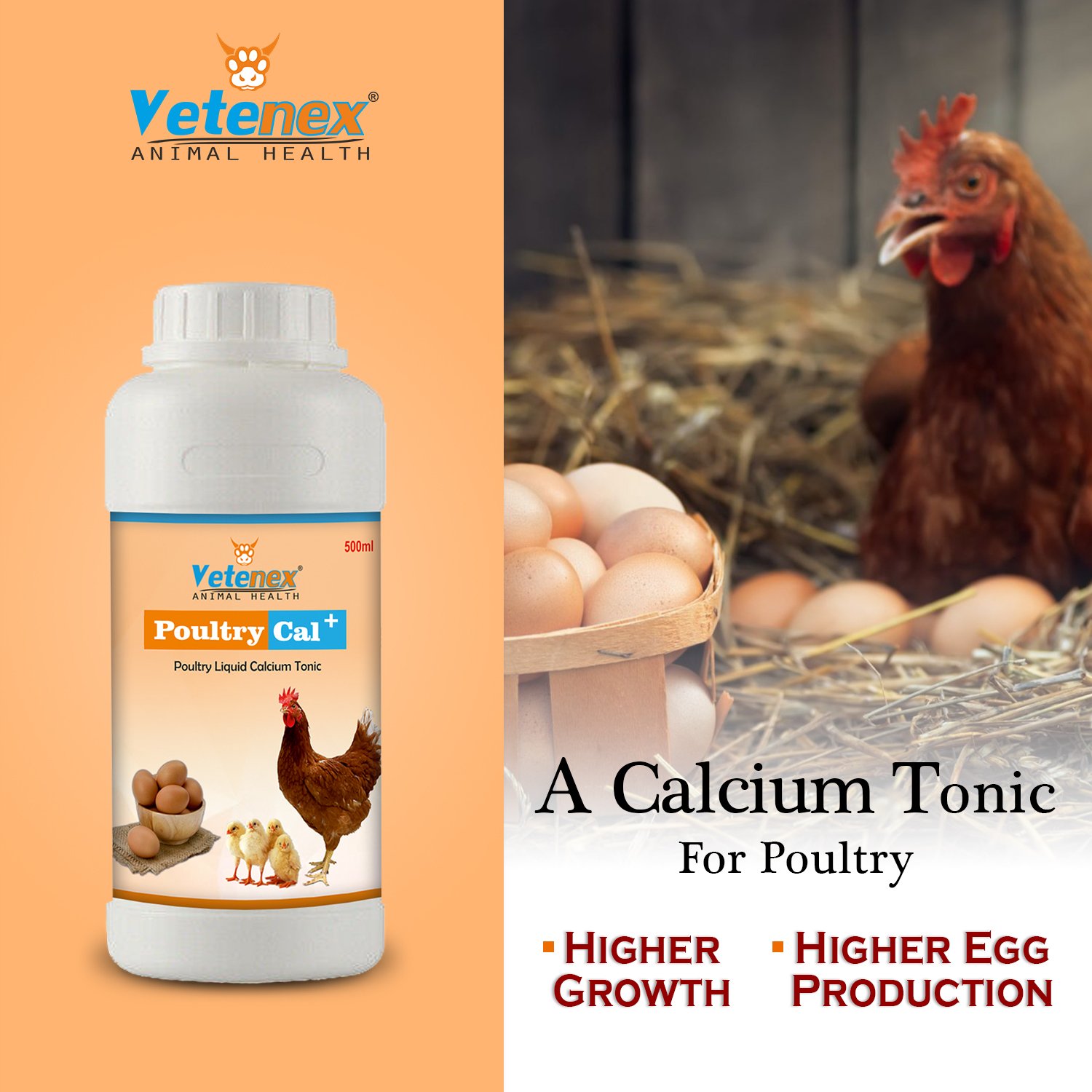 VETENEX Poultry Cal Plus - Calcium Supplement for Poultry - 500 ML - Image 4