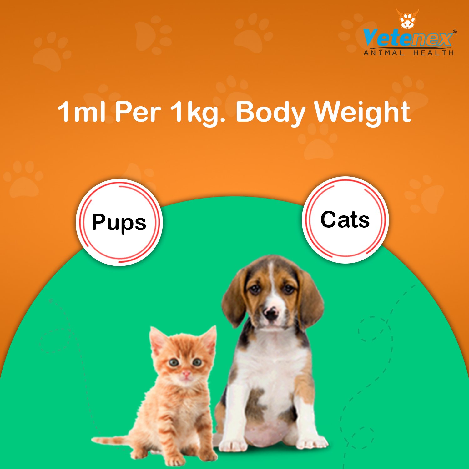 VETENEX Catch Worm Pet - Herbal Dewormer For Puppy and Cats - 30 ML - Image 3