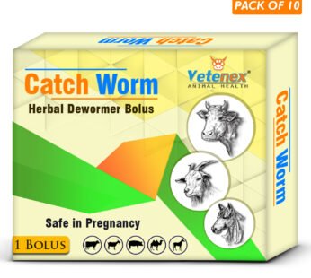 VETENEX Catch Worm – Veterinary Herbal Dewormer Bolus for Cattle, Buffalo, Cow, Goat, Sheep, Pig, Horse and Camel (1 Tablet x 10) Combo – Pack of 10