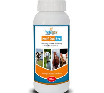 VETENEX Koff Out Pro – Anti-Cough, Cold & Respiratory Herbal Tonic for Cattle, Cow, Buffalo, Goat, Pig, Sheep & Livestock Animals – 500 ML