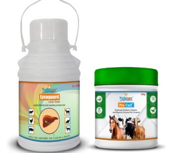 VETENEX Liver Tonic + Probiotic, Prebiotic & Enzyme Supplement Powder for Cattle, Cow, Buffalo, Goat, Pig & Livestock Animals – Combo Pack of 2 (2ltr+500gm)
