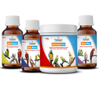 VETENEX Birds Nutritional Mineral Powder Supplements + Bird Booster + Multivitamin + Vitamin B Complex Supplement Pack of 4