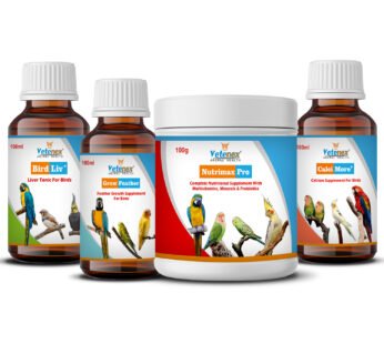 VETENEX Birds Nutritional Mineral Powder Supplements + Calcium Supplement + Liver Tonic + Feather Growth Supplement For Birds – Pack of 4