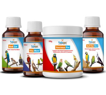 VETENEX Birds Nutritional Mineral Powder Supplements + Liver Tonic + Multivitamin + Cough Cold Medicine- Pack of 4