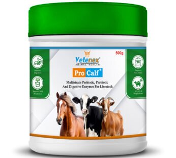 VETENEX Pro Calf Plus – Probiotic, Prebiotic & Enzyme Supplement Powder for Cattle, Cow, Buffalo, Goat, Pig & Livestock Animals – 500g