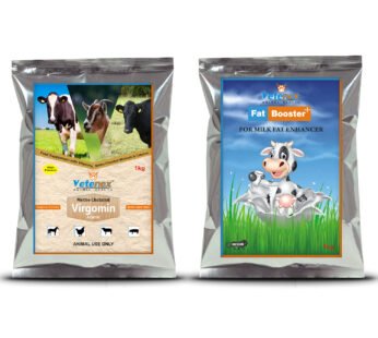 VETENEX Metho Chelated Mineral Mixture Powder + Bypass Fat Energy, Rumen Fat & Milk Boost Powder Supplement for Cattle, Cows, Buffalo and Farm Animals – Combo Pack of 2 (1Kgx2)