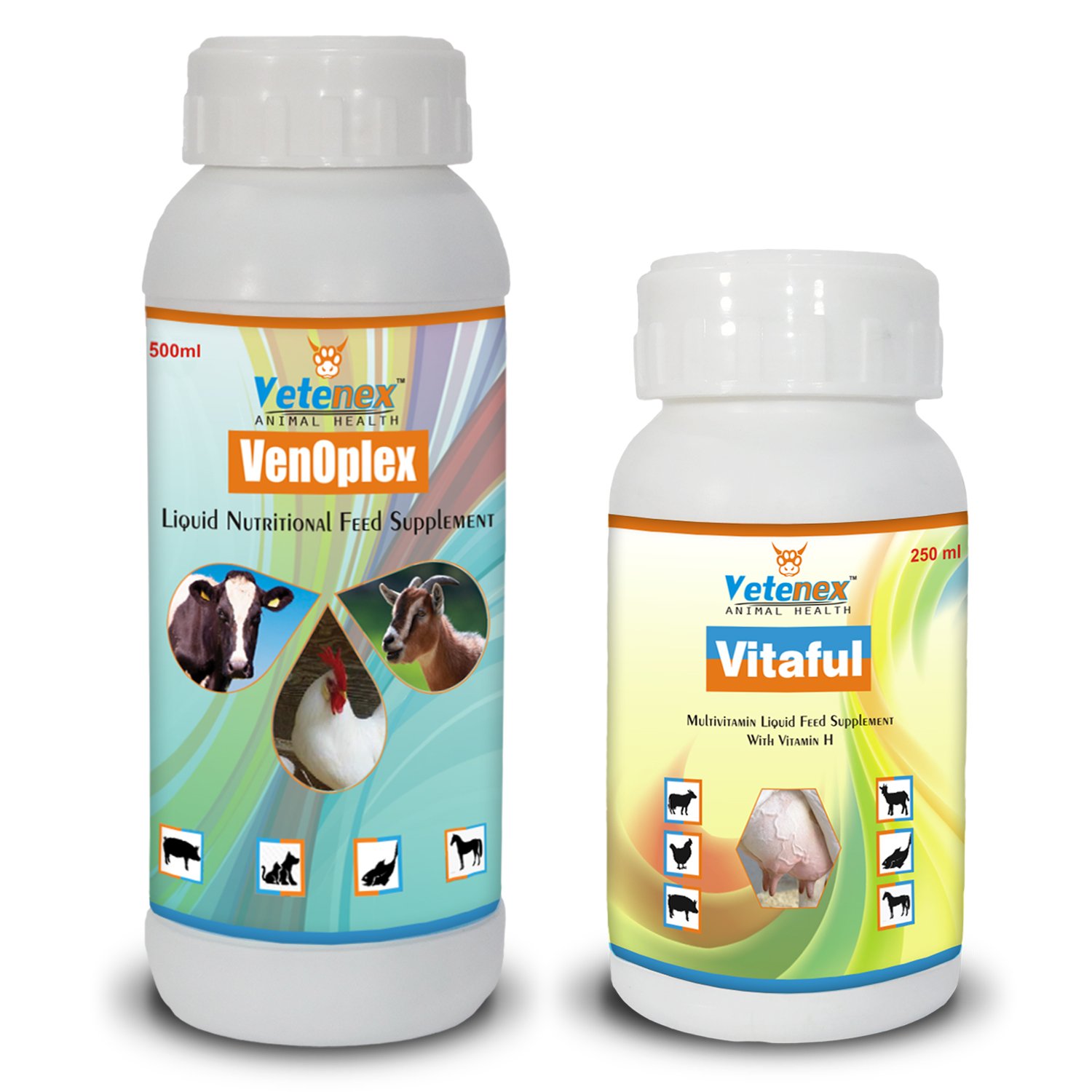 Multivitamin Liquid Supplement + Vitamin B Complex Liquid Supplement for Cattle, Poultry, Sheep & Livestock Animals – Combo Pack of 2 (250ml+500ml)