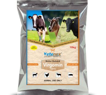 VETENEX Virgomin Forte – Metho Chelated Mineral Mixture Powder Supplement for Cattle, Cow, Buffalo, Poultry, Goat, Pig & Horse – 10kg