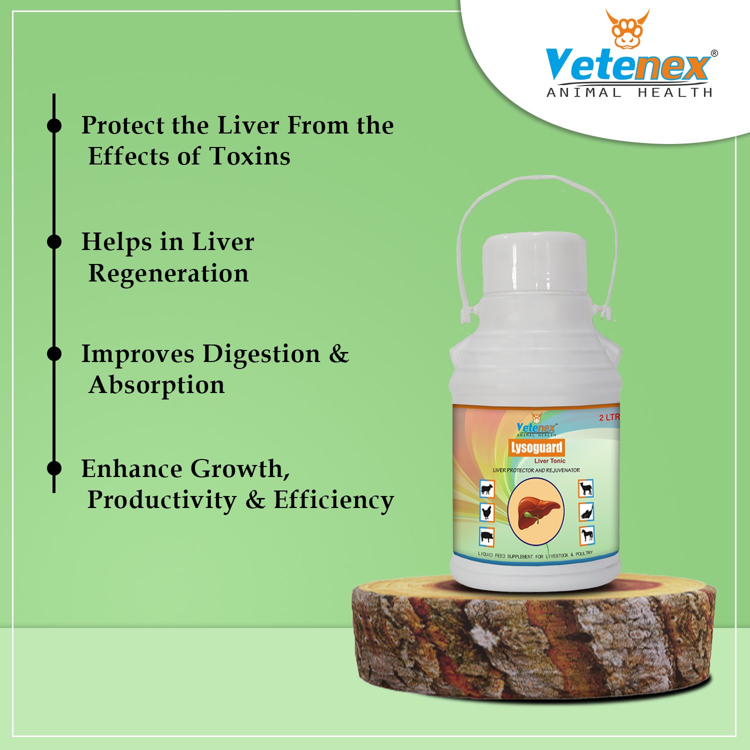 VETENEX Lysoguard - Liver Tonic for Cattle, Buffalo, Cow, Goat, Pigs, Poultry & Livestock Animals - 2 LTR - Image 2