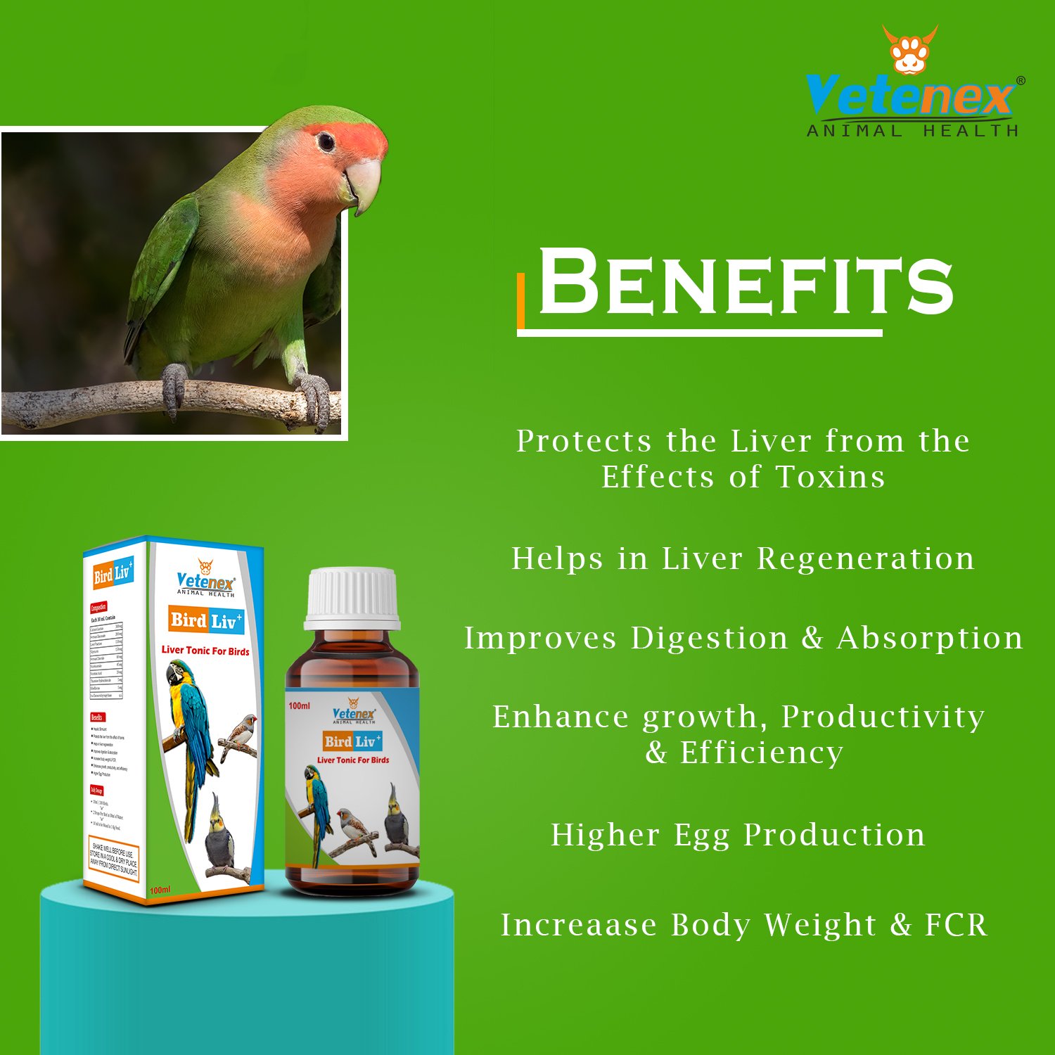 VETENEX Birds Nutritional Mineral Powder Supplements + Liver Tonic + Multivitamin + Cough Cold Medicine- Pack of 4 - Image 3