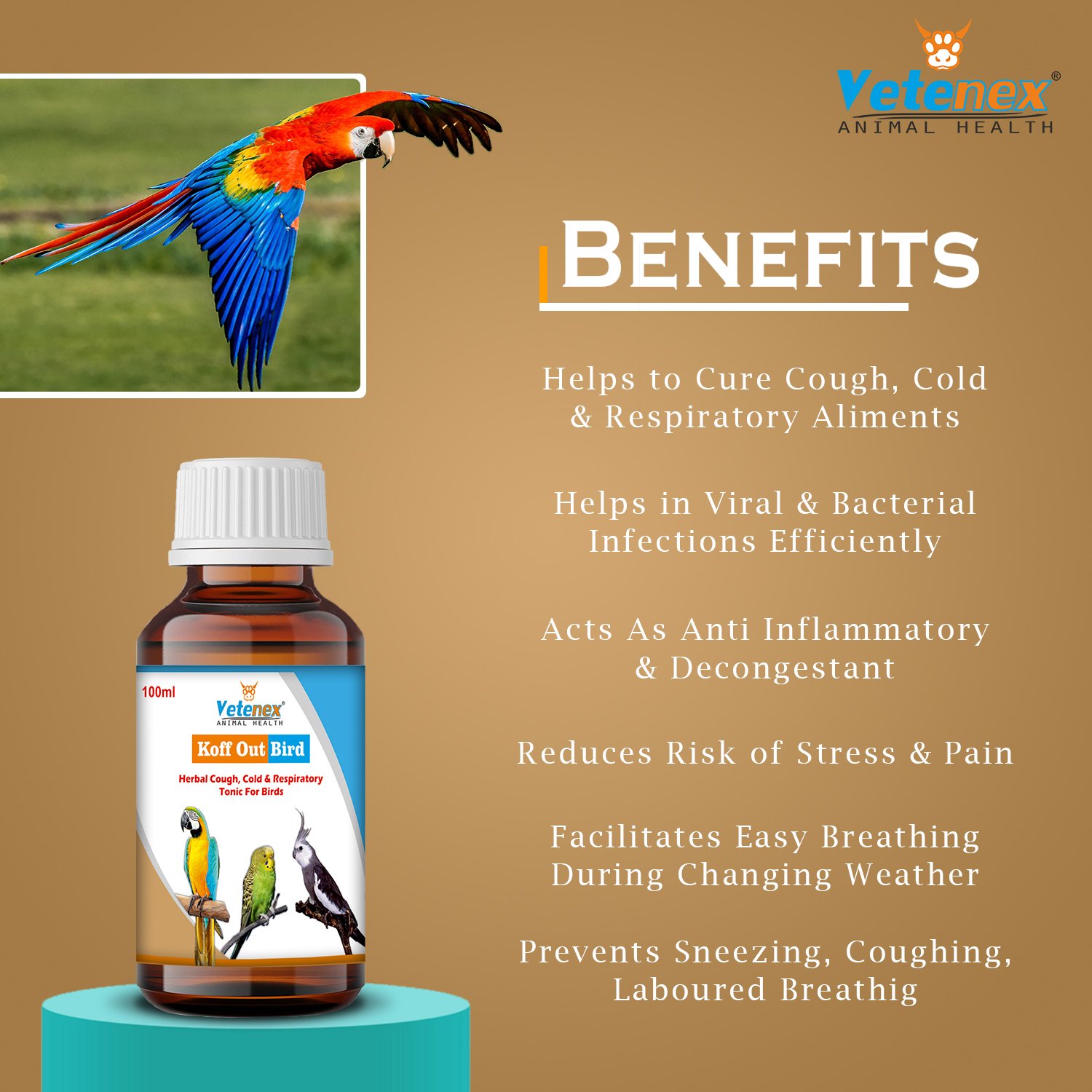 VETENEX Birds Complete Nutritional Supplement with MultiVitamins, Minerals & Probiotics + Electrolyte Supplement + Cough Cold Medicine For All Type of Birds - Pack of 3 - Image 3