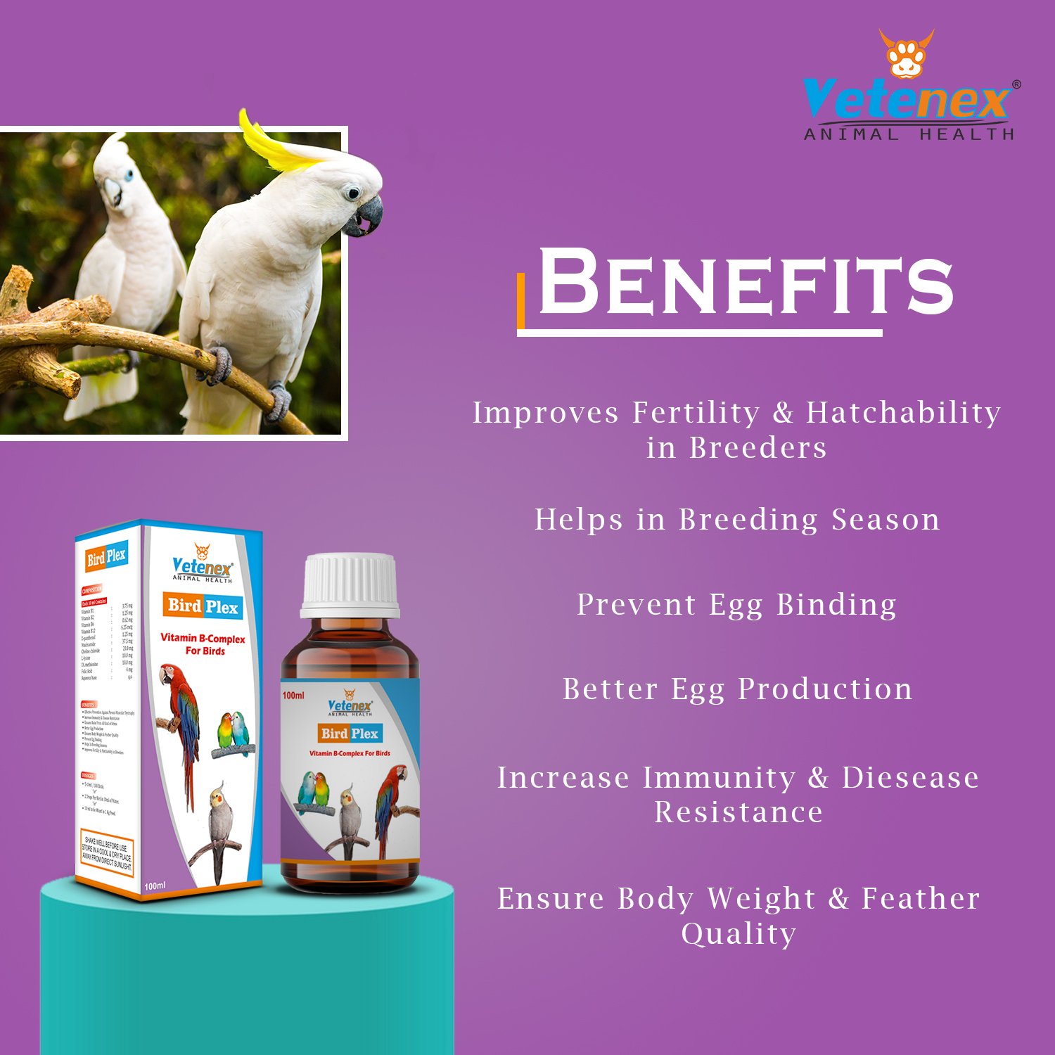 VETENEX Birds Complete Nutritional Supplement with MultiVitamins, Minerals & Probiotics + Feather Growth Supplement + Vitamin B Complex Supplement For All Type of Birds - Pack of 3 - Image 3