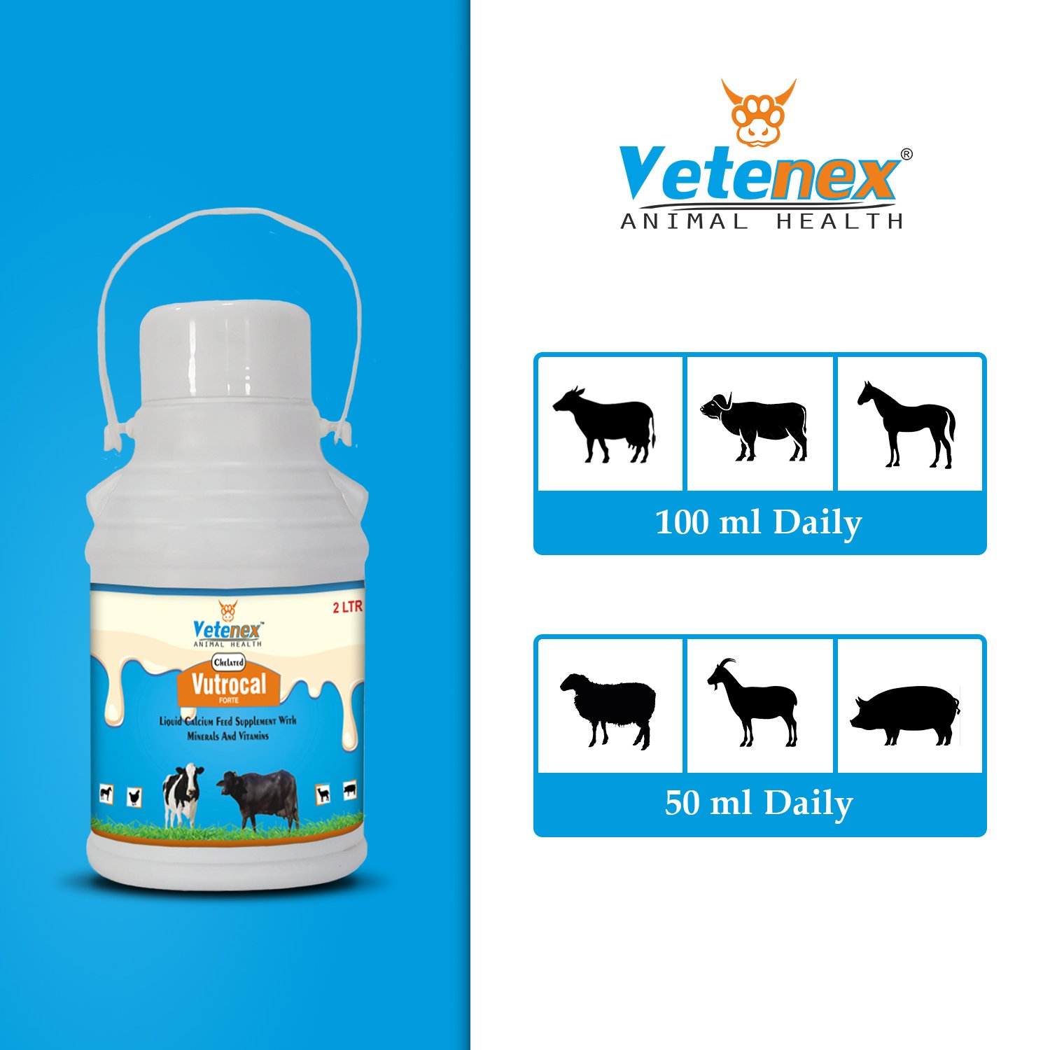VETENEX Vutrocal Forte - Chelated Liquid Calcium Supplement for Cattle, Cow, Buffalo, Poultry, Goat, Pig and Farm Animals - 2 LTR - Image 4