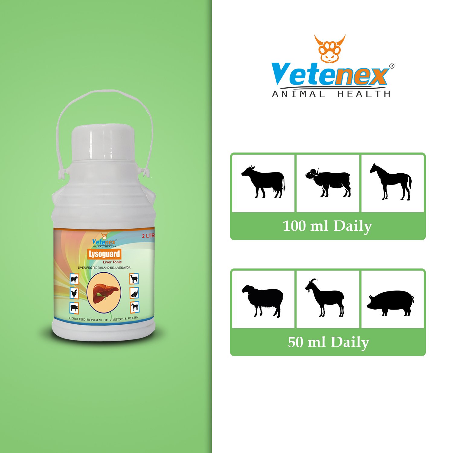 VETENEX Lysoguard - Liver Tonic for Cattle, Buffalo, Cow, Goat, Pigs, Poultry & Livestock Animals - 2 LTR - Image 4