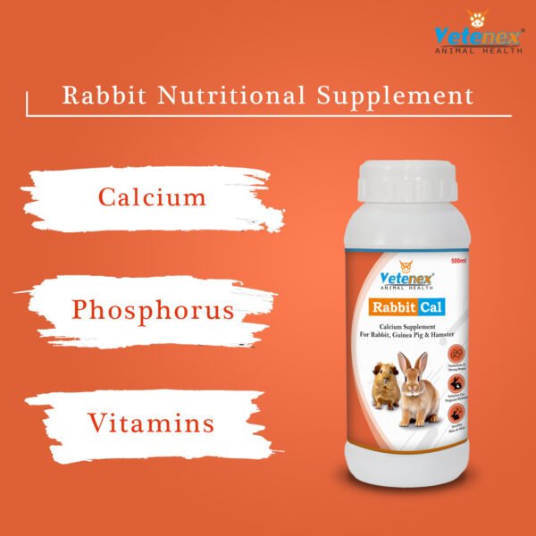 VETENEX Rabbit Vitamin & Amino Acids Supplement + Calcium Tonic ...
