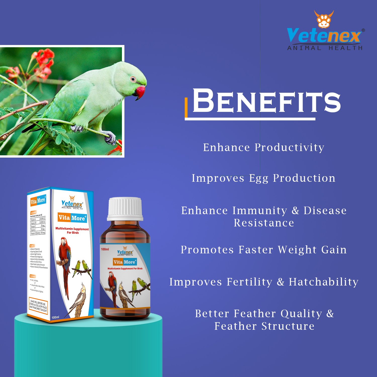 VETENEX Birds Nutritional Mineral Powder Supplements + Liver Tonic + Multivitamin + Cough Cold Medicine- Pack of 4 - Image 5