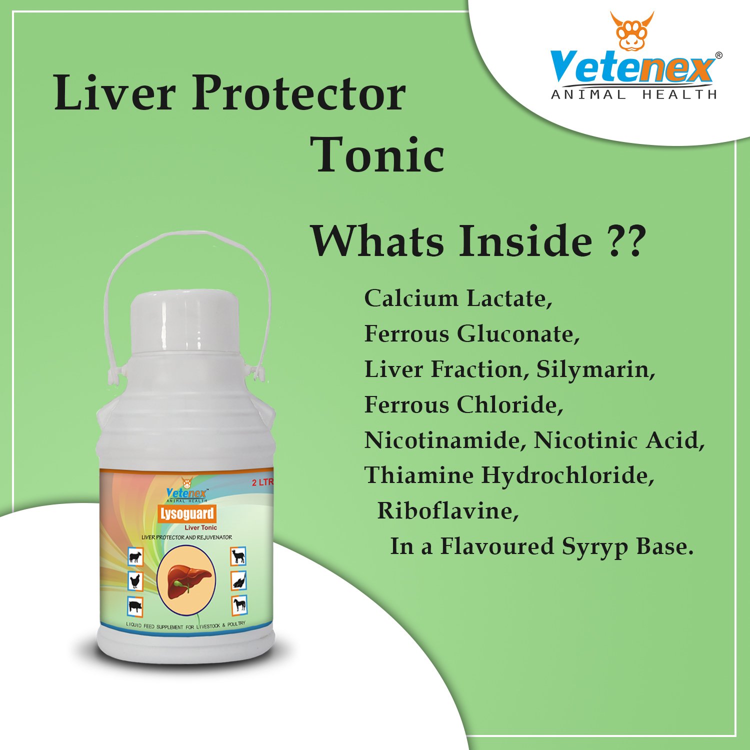 VETENEX Lysoguard - Liver Tonic for Cattle, Buffalo, Cow, Goat, Pigs, Poultry & Livestock Animals - 2 LTR - Image 5