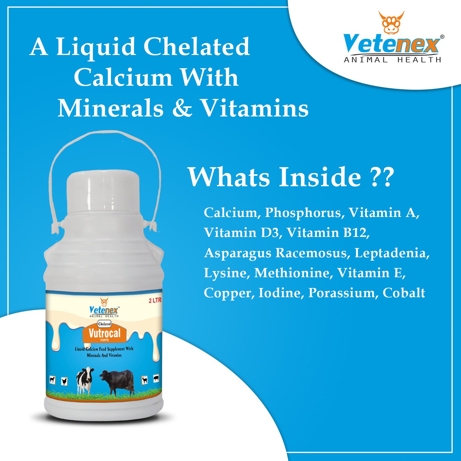 VETENEX Vutrocal Forte - Chelated Liquid Calcium Supplement for Cattle, Cow, Buffalo, Poultry, Goat, Pig and Farm Animals - 2 LTR - Image 5