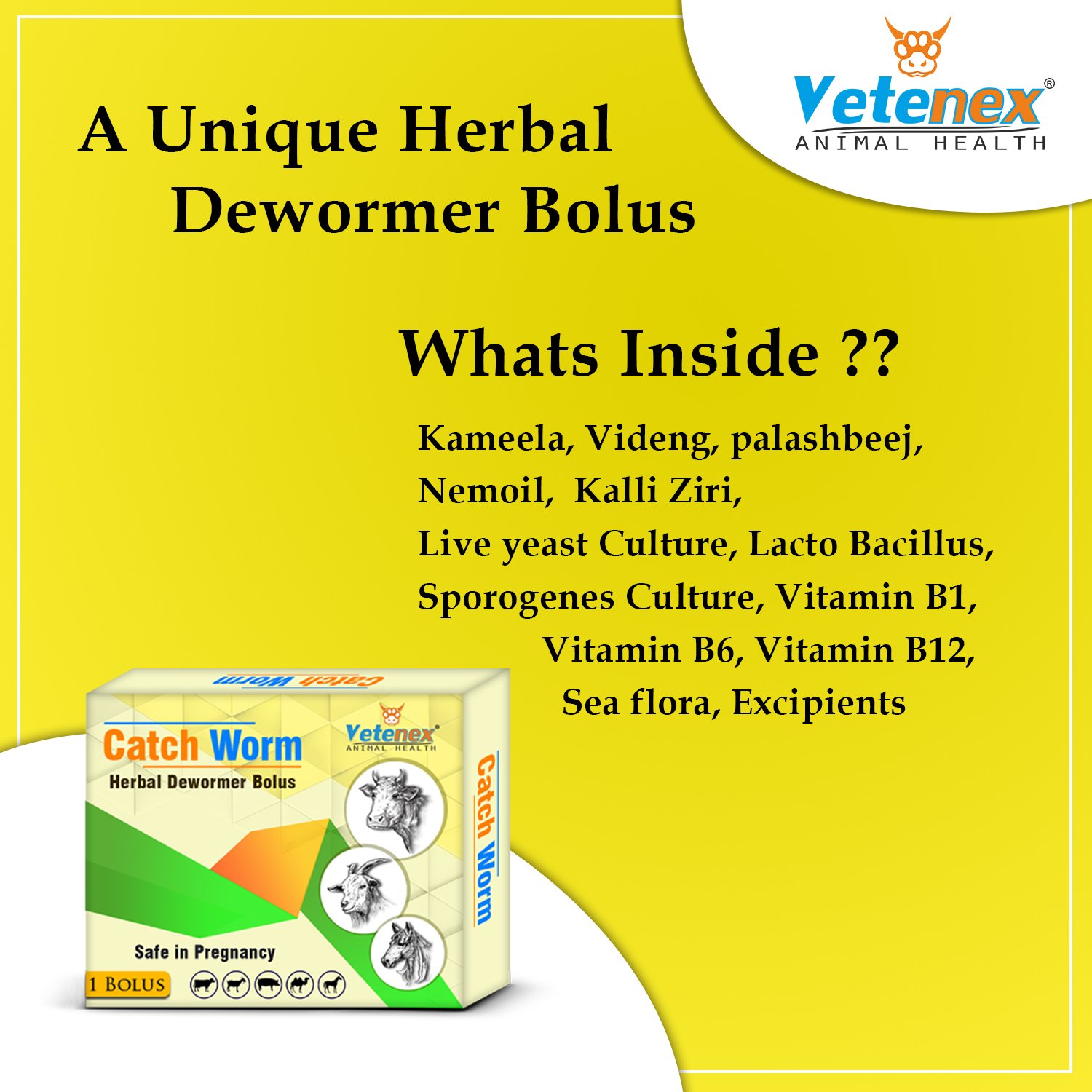 VETENEX Catch Worm - Veterinary Herbal Dewormer Bolus for Cattle, Buffalo, Cow, Goat, Sheep, Pig, Horse and Camel (1 Tablet x 10) Combo - Pack of 10 - Image 6