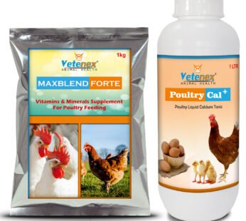 VETENEX Poultry Growth Promoter with Vitamins & Minerals Supplement + Calcium Supplement for Poultry, Birds & Chicken (1LTR+1KG) – Combo Pack of 2