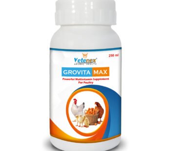 VETENEX Grovita Max – Multivitamin Supplement, Growth Promoter for Poultry, Birds & Chicken – 250ml