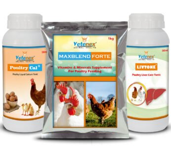 VETENEX Poultry Feed Premix + Calcium Supplement + Liver Tonic – (Pack of 3)