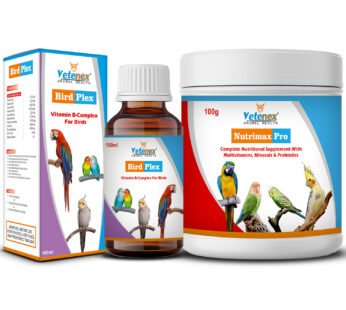 VETENEX Birds Complete Nutritional Supplement with MultiVitamins, Minerals & Probiotics +  Vitamin B Complex Supplement, Healthy Growth Promoter for Birds (100 gm+100ml) Combo – Pack of 2