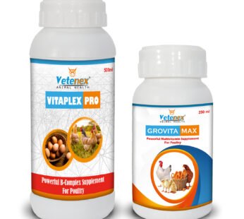 VETENEX Multivitamin Supplement + Vitamin B Complex Supplement, Growth Promoter for Poultry, Birds & Chicken (250ml+500ml) – Combo Pack of 2