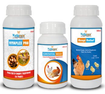 VETENEX Multivitamin Supplement + Vitamin B Complex Supplement + Respiratory Syrup, Cough, Cold Supplement For Poultry (500ml+500ml+250ml) – Combo Pack of 3