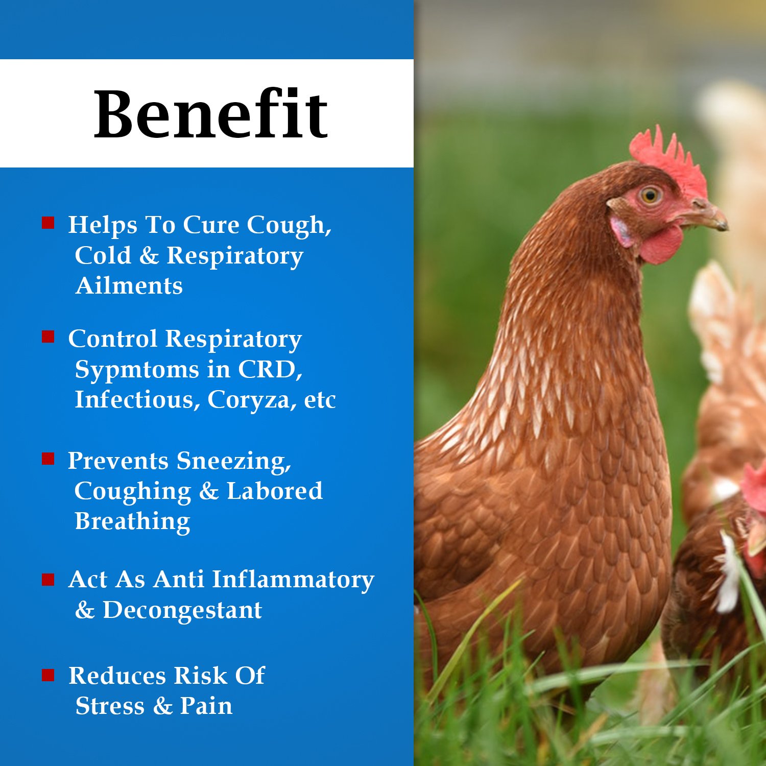 VETENEX Respi Relief - Respiratory Syrup, Cough, Cold Supplement For Poultry - 500 ML - Image 2