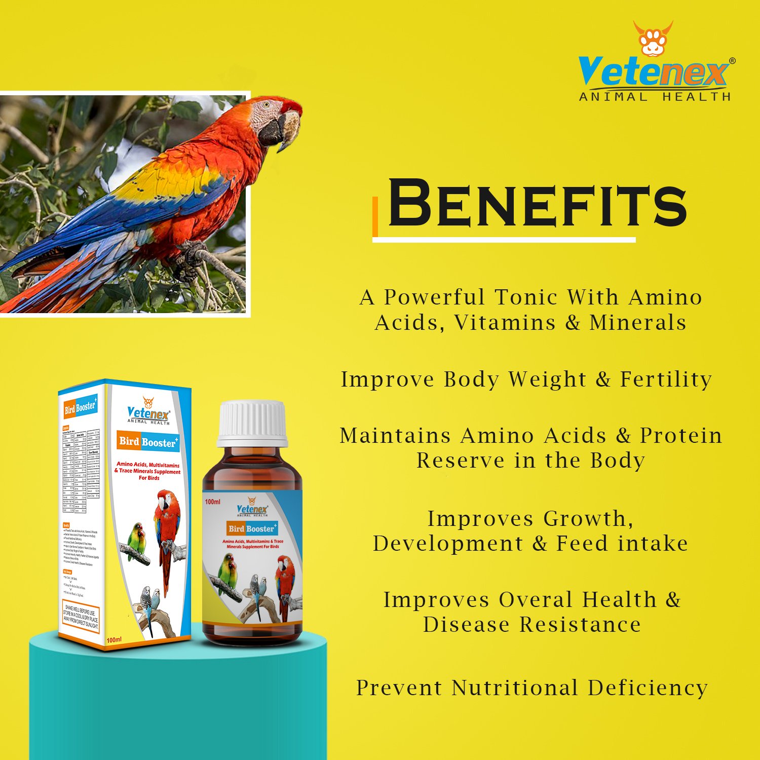 VETENEX Birds Immunity & Growth Booster With Essential Amino Acids, Multivitamins & Trace Minerals Supplement + PREBIOTICS + PROBIOTICS + Enzymes Supplement For Birds (100 gm+100ml) Combo - Pack of 2 - Image 2