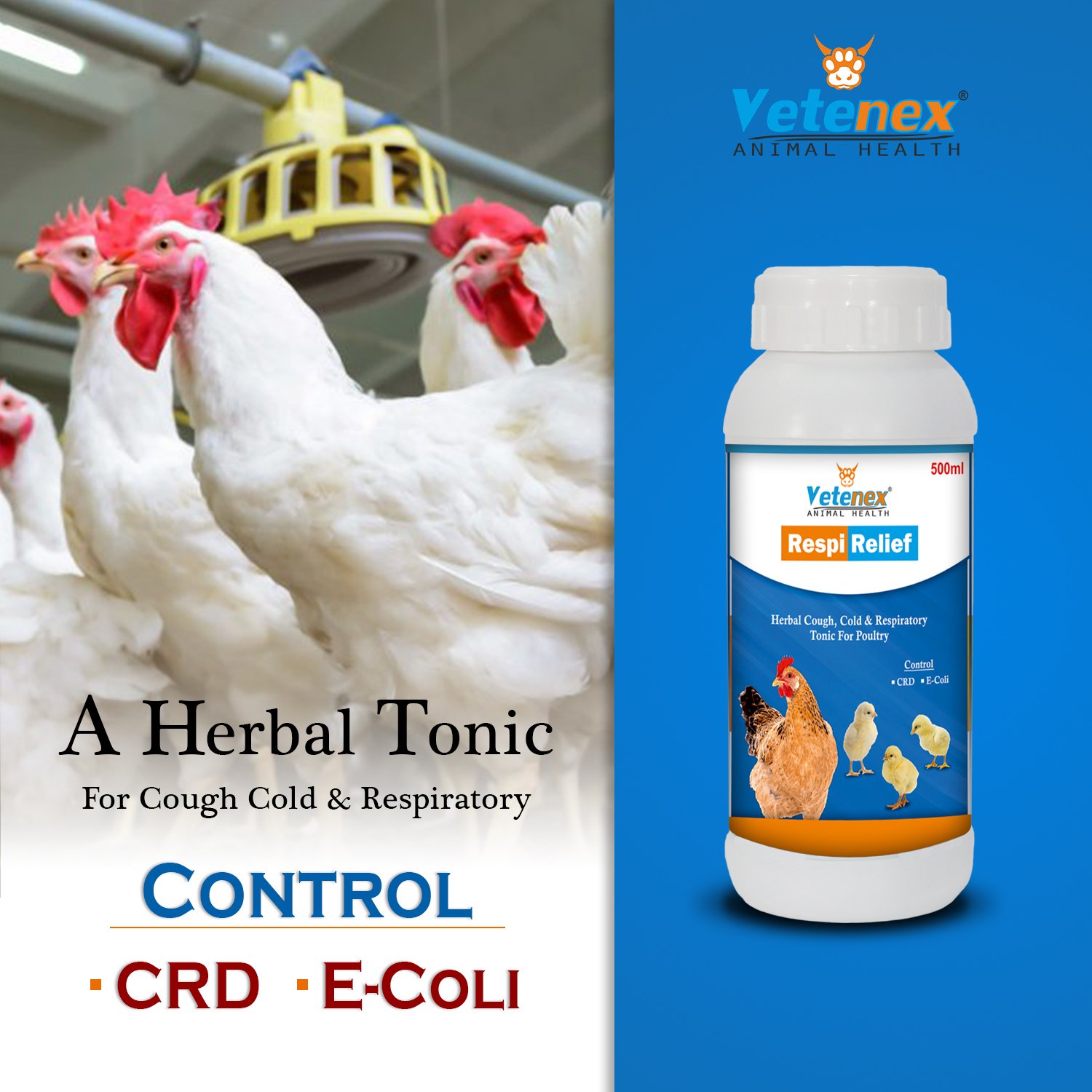 VETENEX Respi Relief - Respiratory Syrup, Cough, Cold Supplement For Poultry - 500 ML - Image 3