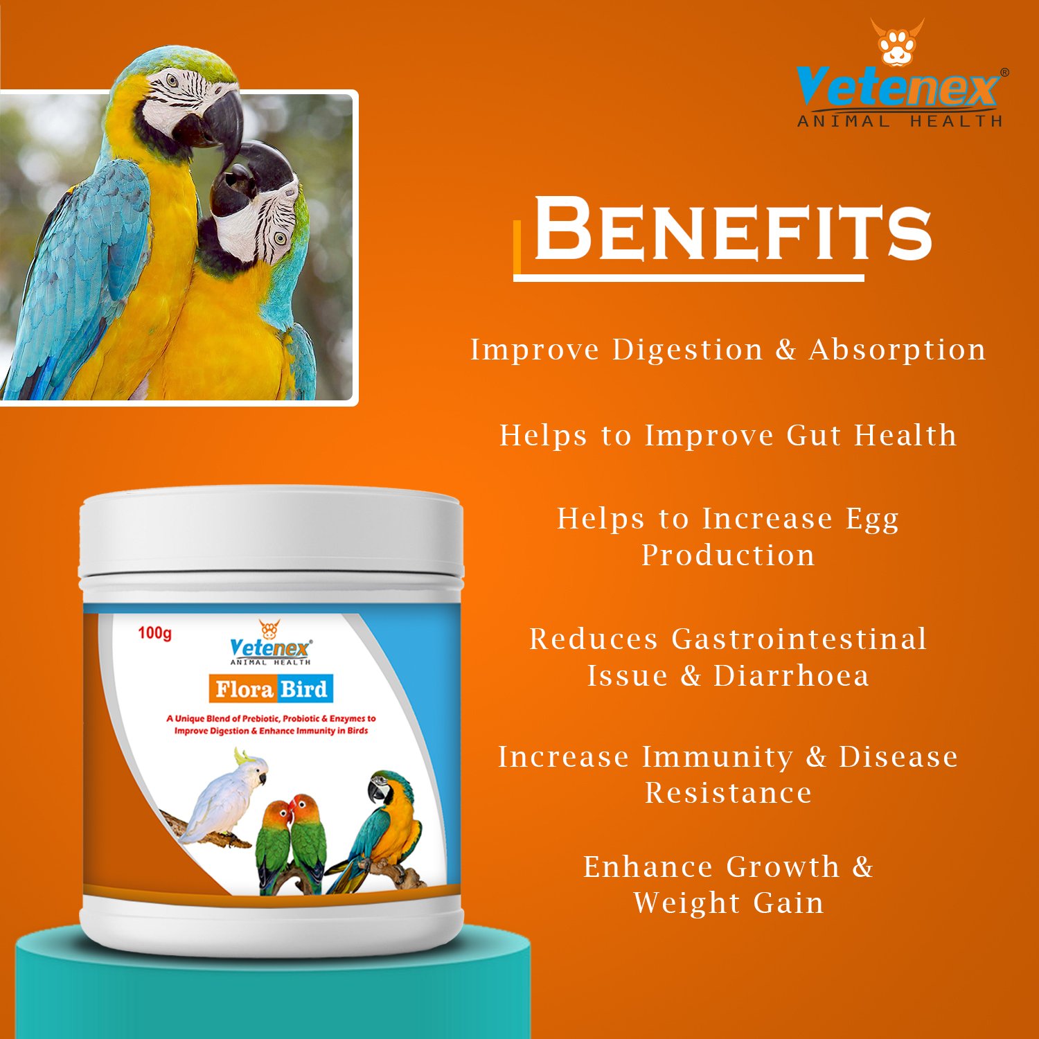 VETENEX Birds Immunity & Growth Booster With Essential Amino Acids, Multivitamins & Trace Minerals Supplement + PREBIOTICS + PROBIOTICS + Enzymes Supplement For Birds (100 gm+100ml) Combo - Pack of 2 - Image 3