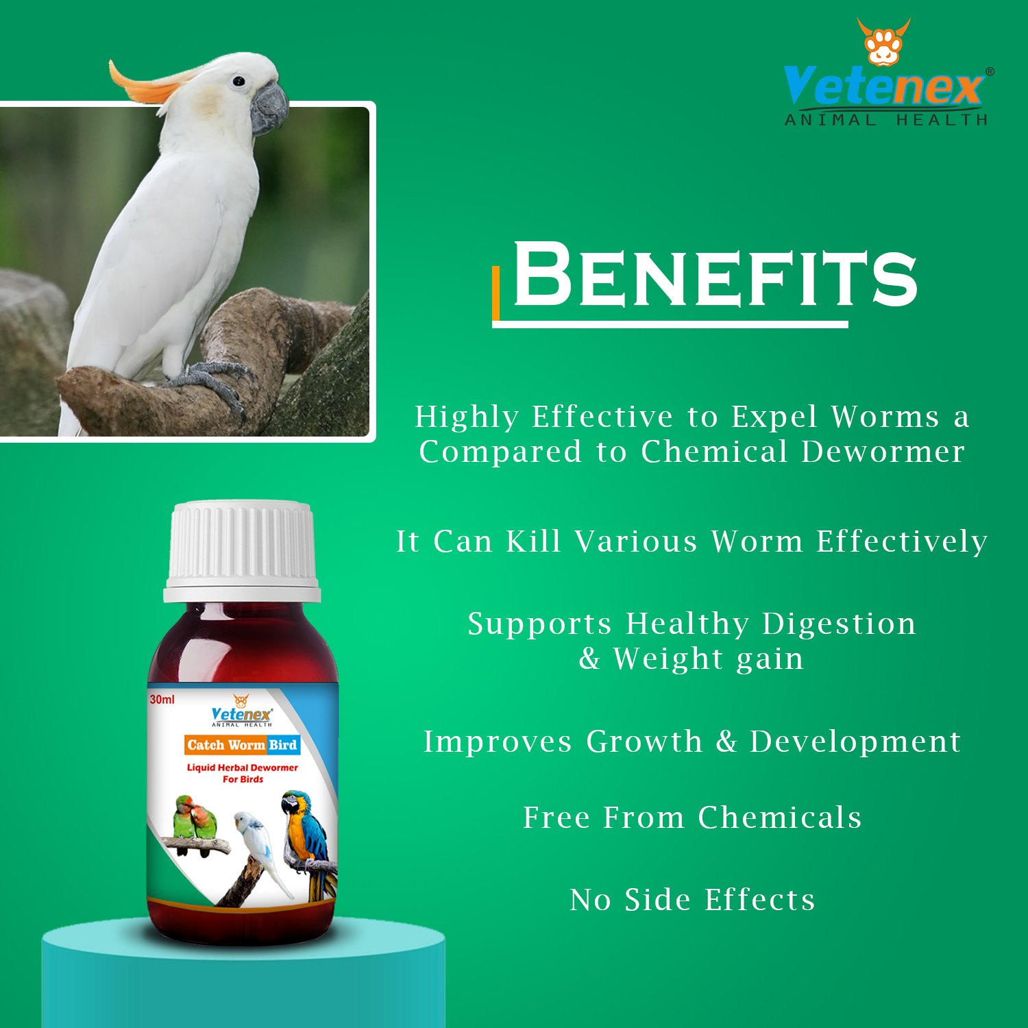 VETENEX Birds Complete Nutritional Supplement with MultiVitamins, Minerals & Probiotics + Liquid Herbal Dewormer for Birds (100 gm+30ml) Combo - Pack of 2 - Image 3