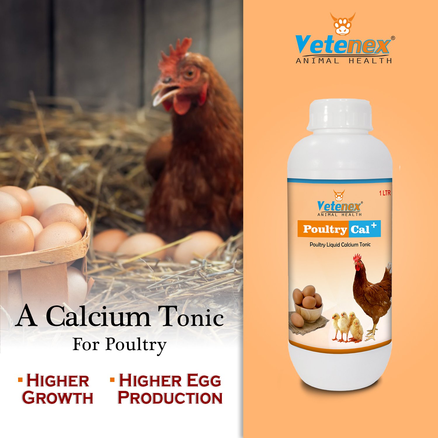 VETENEX Poultry Cal Plus - Calcium Tonic for Poultry, Birds & Chicken - 1LTR - Image 3