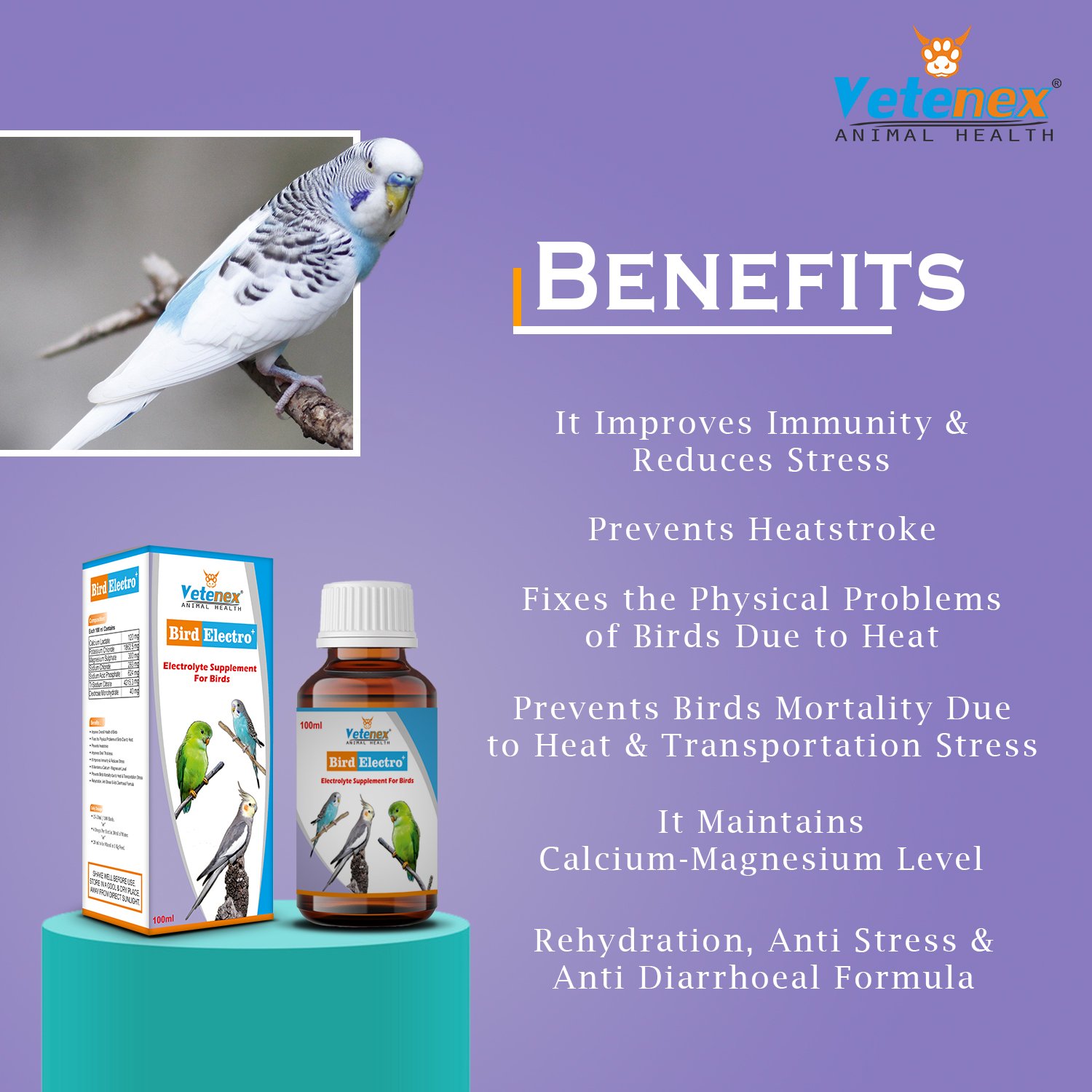 VETENEX Bird Electro Plus - Birds Electrolyte Supplement For Dehydration, Heat Stress & Loose Motion (100 ml x 2) Combo - Pack of 2 - Image 3