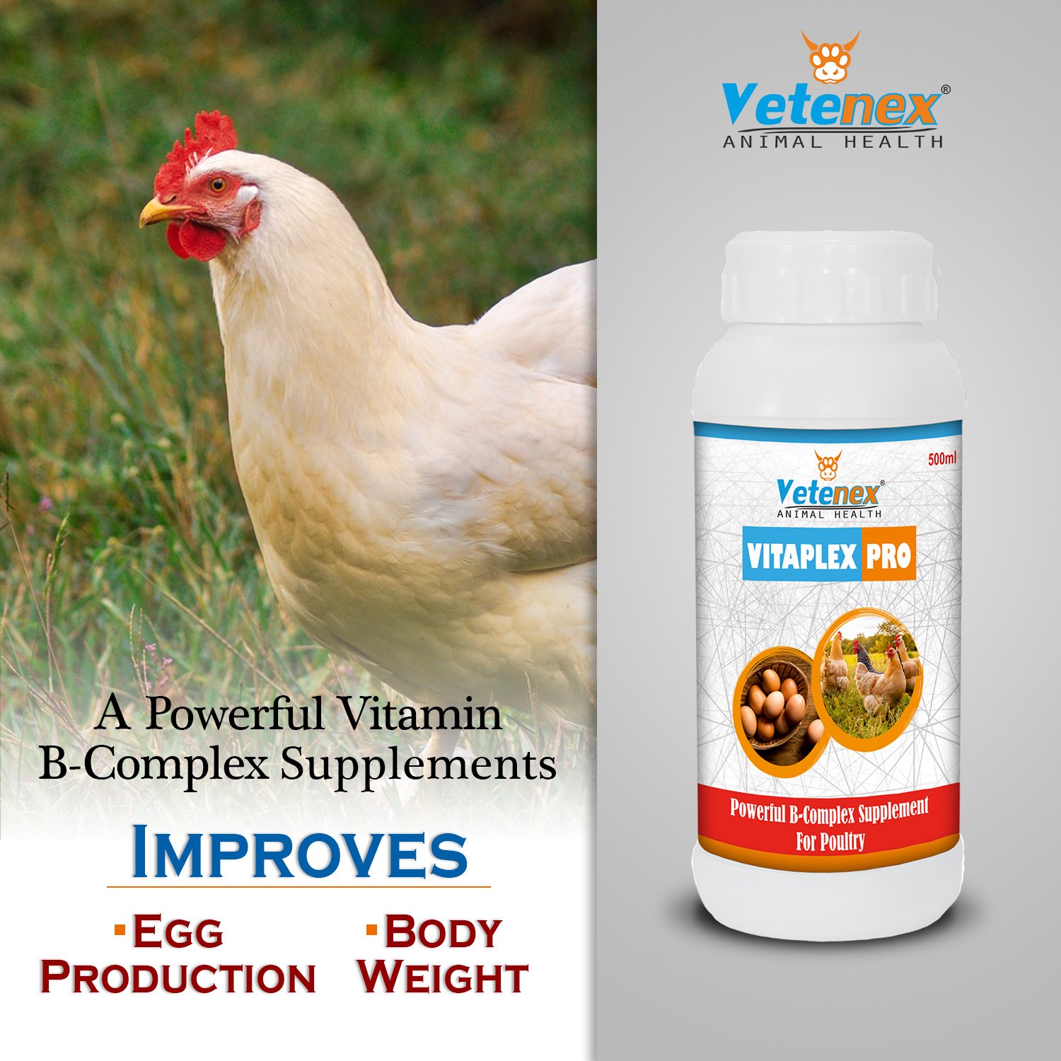 VETENEX Vitaplex Pro - Vitamin B Complex Supplement, Growth Promoter for Poultry, Birds & Chicken - (500 MLX2) - Image 3