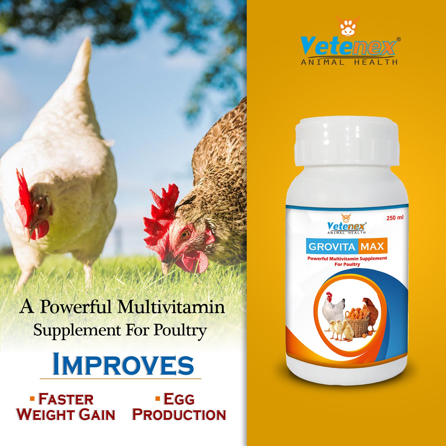 VETENEX Grovita Max - Multivitamin Supplement, Growth Promoter for Poultry, Birds & Chicken - 250ml - Image 3
