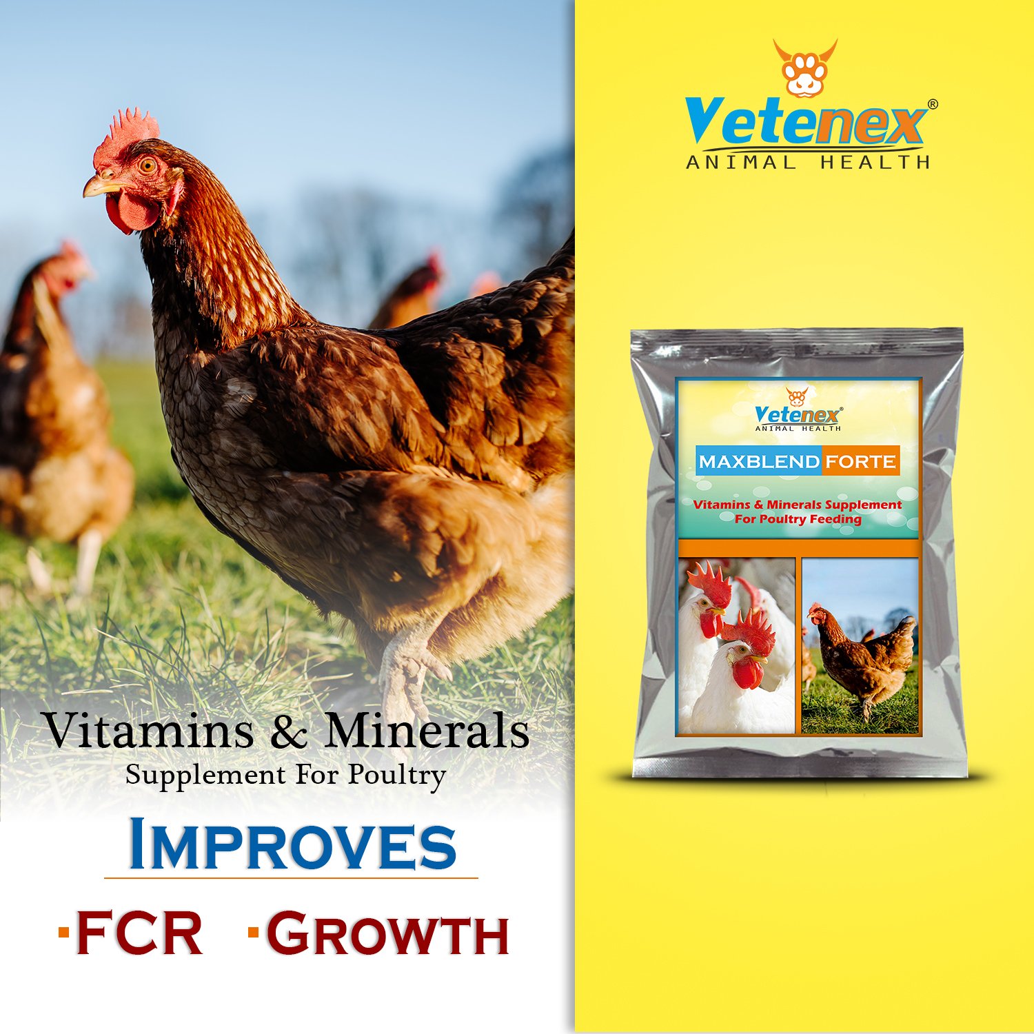 VETENEX Maxblend Forte - Poultry Growth Promoter with Vitamins & Minerals Supplement for Poultry, Birds & Chicken - 5Kg - Image 3