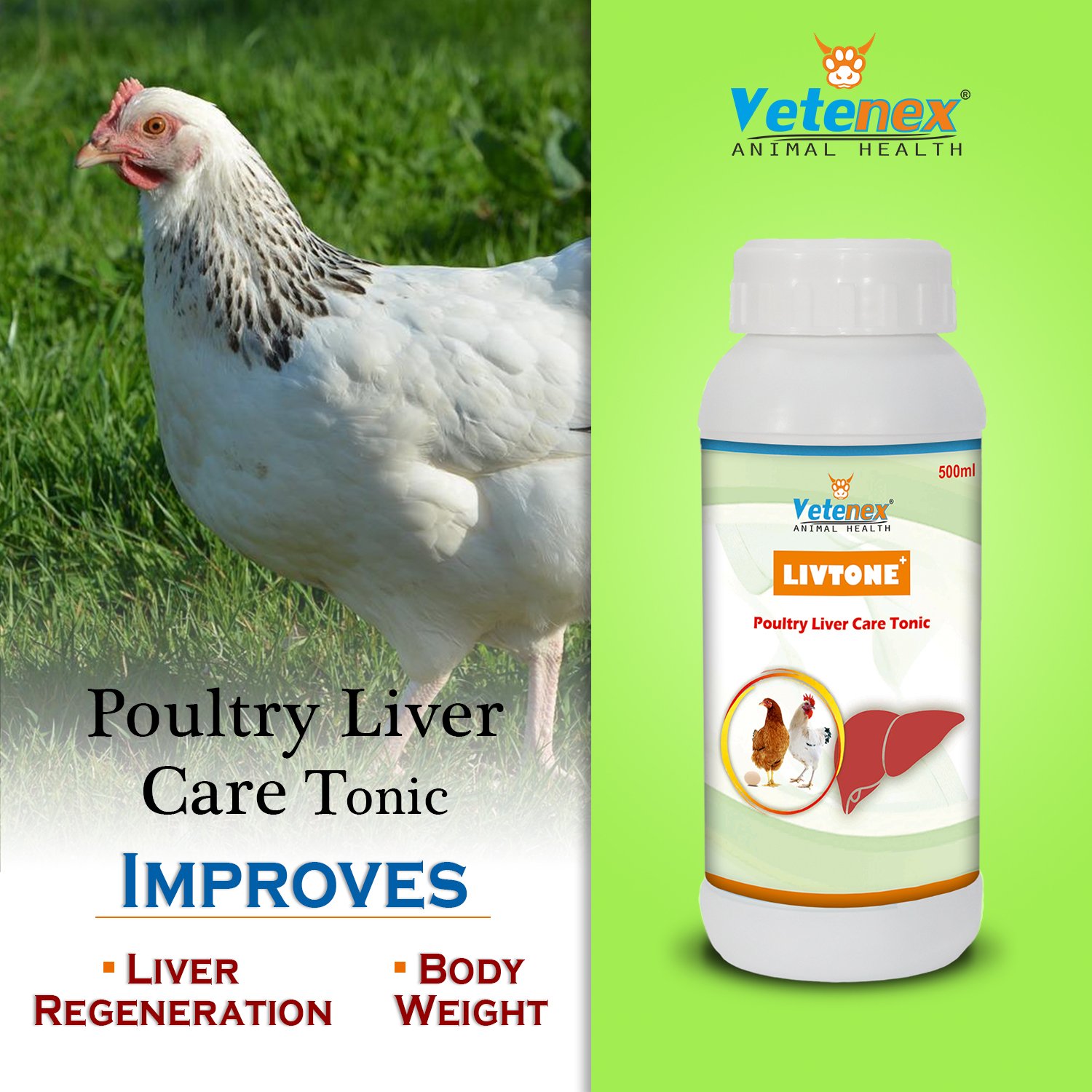 VETENEX Livtone Plus - Liver Tonic For Poultry, Birds & Chicken - 500ML - Image 3