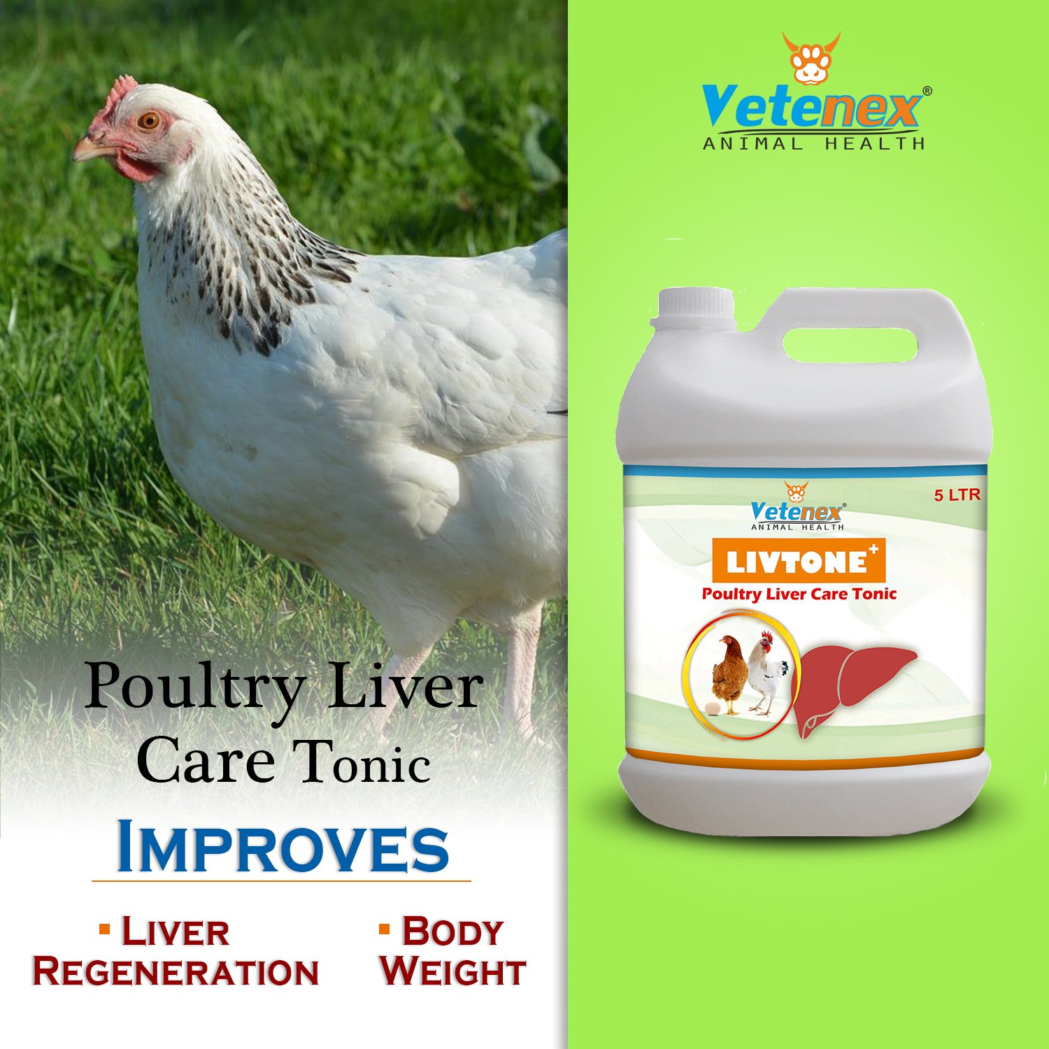 VETENEX Livtone Plus - Liver Tonic For Poultry, Birds & Chicken - (5 LTRX2) - Image 3