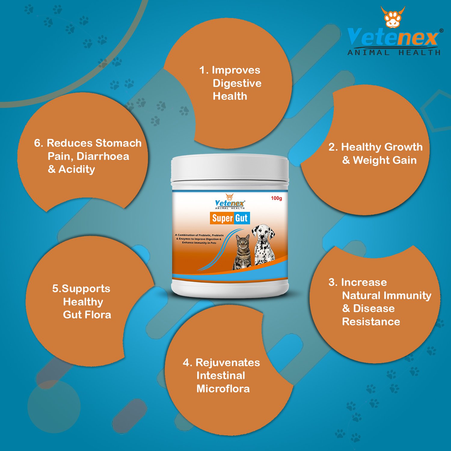 VETENEX Dog Essential Multivitamins, Amino Acids & Minerals Supplement Syrup + PROBIOTICS + PREBIOTICS + Enzymes | Gut Health | Better Digestion| Immunity Booster For Dog, Puppy and Cats - Combo Pack of 2 - Image 3