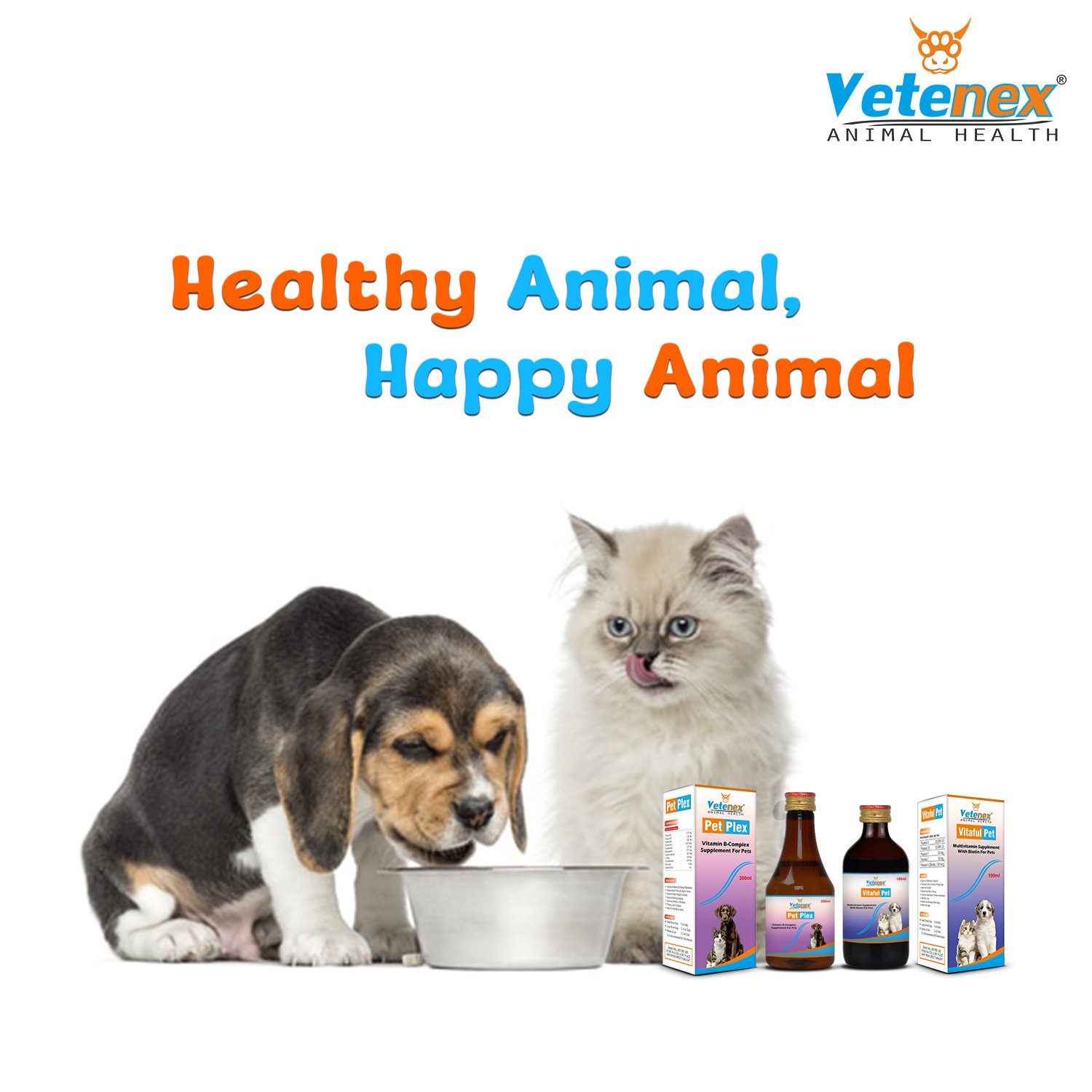 VETENEX Dog Multivitamin Supplement Syrup with Biotin, Vitamin D3, Vitamin E, Vitamin C, Vitamin A | Builds Immunity, Growth & Appetite +Vitamin B-Complex & Amino Acids Supplement Syrup | Better Health & Growth For Dogs, Puppy and Cats - Combo Pack of 2 - Image 4