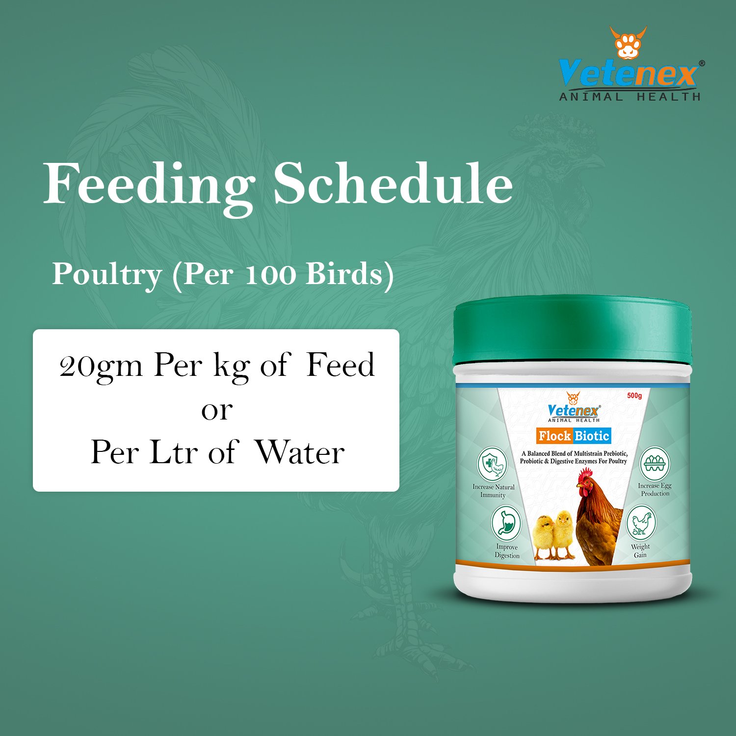 VETENEX Prebiotic, Probiotic & Enzyme Supplement + Liver Tonic for Poultry, Birds & Chicken (500gm+500ml) - Combo Pack of 2 - Image 4